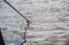 20120607_ (168)